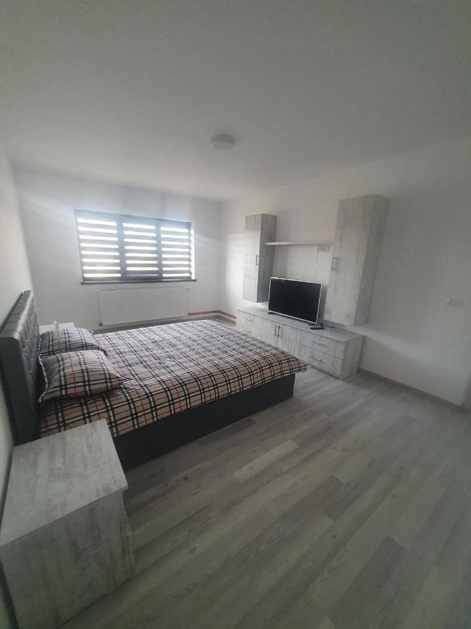 Apartament Nicole Куртя-де-Арджеш Экстерьер фото